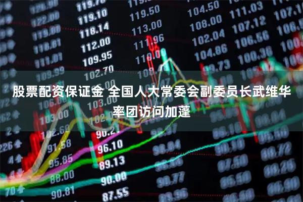 股票配资保证金 全国人大常委会副委员长武维华率团访问加蓬